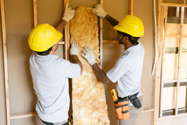 Trusted Johnston, SC Insulation Removal & Installation Experts